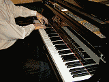 www.magicwing.com
